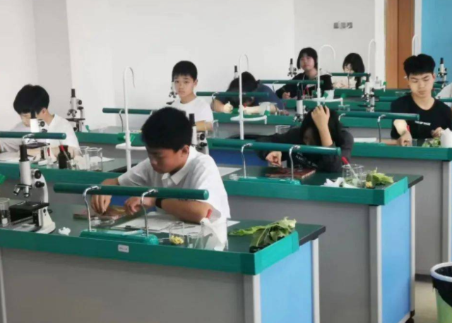 孩子生长的中心孩子的品格品德习惯等都