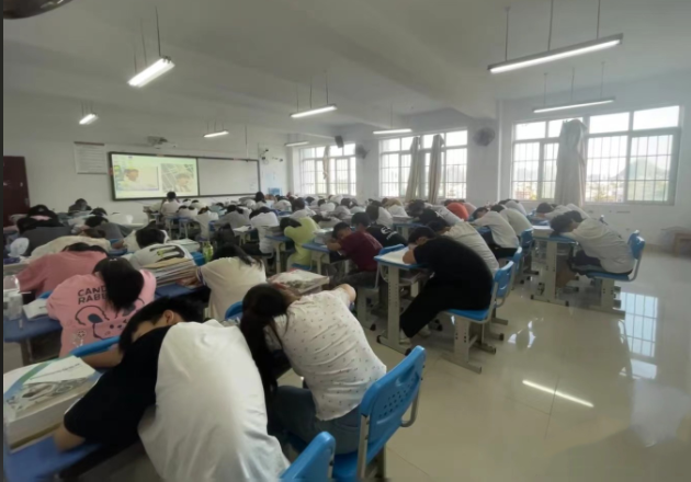 实际操作在内的多样化职业启蒙课程满足